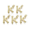Alloy Pendants PALLOY-S137-001K-NR-2