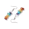 Natural Mixed Stone & Synthetic Turquoise Dangle Earrings EJEW-JE06032-4