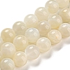Natural White Moonstone Beads Strands LS-G-F306-05AB-10mm-01-2