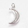 Brass Micro Pave Cubic Zirconia Pendants ZIRC-E145-62-3