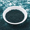 MIYUKI Round Rocailles Beads SEED-X0054-RR2406-2