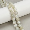 Natural Green Moonstone Beads Strands G-NH0060-A01-02-1