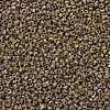 MIYUKI Round Rocailles Beads SEED-G007-RR4517-3