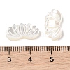 Natural Trochus Shell Carved Beads SHEL-P017-12-3