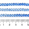 Transparent Painted Glass Beads Strands X1-DGLA-A034-T4mm-A01-3