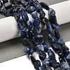 Natural Sodalite Beads Strands G-P497-01E-55-2