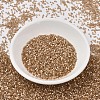 MIYUKI Delica Beads SEED-X0054-DB1802-2