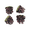 4Pcs Handmade Lampwork Beads LAMP-TA0002-24F-3
