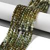 Natural Green Tourmaline Beads Strands G-B088-C07-03-2