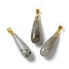 Natural Labradorite Teardrop Pendants G-Q005-03G-07-1