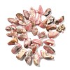 Natural Rhodonite Beads Strands G-C179-E01-01-3