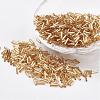 Glass Bugle Beads SEED-E001-12mm-22-1