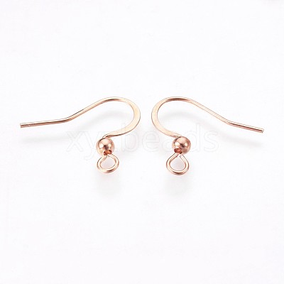 316 Surgical Stainless Steel Earring Hooks X-STAS-P220-13RG-1