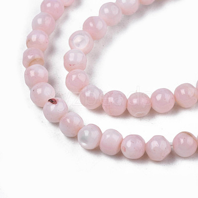 Natural Freshwater Shell Beads Strands SHEL-N003-24-B09-1