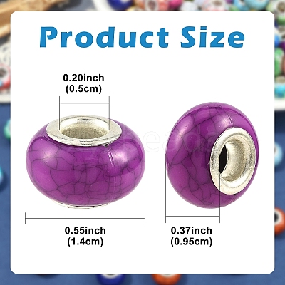 100Pcs 2 Styles Opaque Resin European Beads RPDL-YW0001-20-1