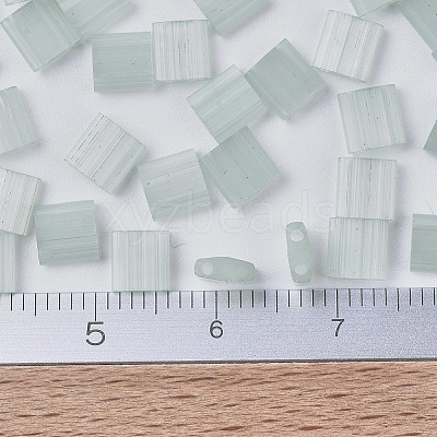 MIYUKI TILA Beads LS-X-SEED-J020-TL2560-1