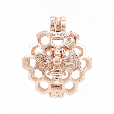 Alloy Locket Pendants PALLOY-S062-55RG-1