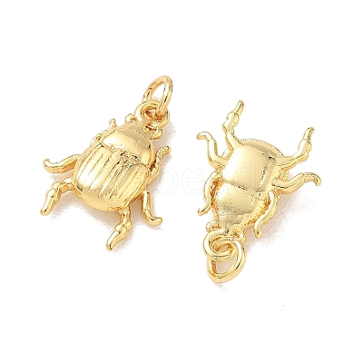 Insect Brass Charms KK-E797-06G-1