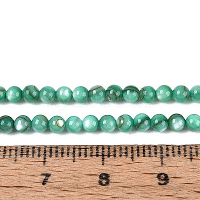 Natural Freshwater Shell Beads Strands X-BSHE-T009A-01J-1