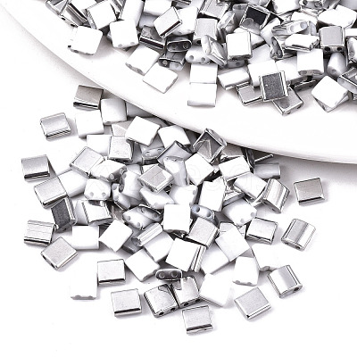 FGB 2-Hole Glass Seed Beads SEED-S031-L-ST41-K-1