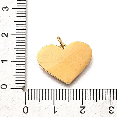 Pride 304 Stainless Steel Enamel Pendants LS-STAS-B079-01G-16-1