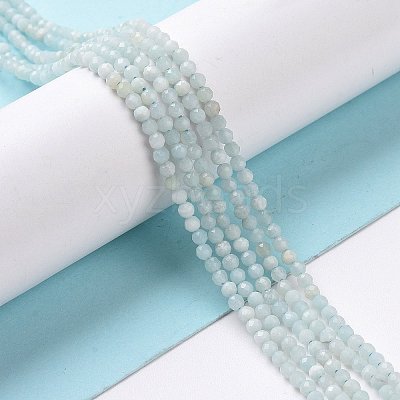 Natural Amazonite Bead Strands G-A129-2mm-20-1