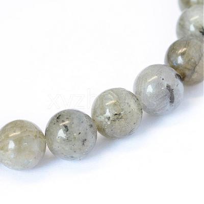 Natural Labradorite Round Bead Strands G-E334-10mm-19-1