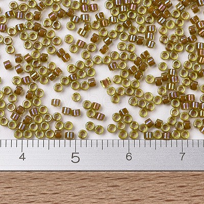 MIYUKI Delica Beads SEED-X0054-DB1738-1