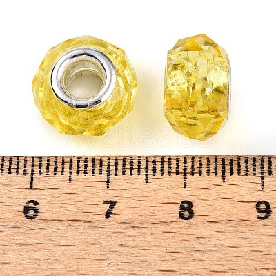 Handmade Glass European Beads for Biagi Bracelet Making X-GPDL25Y-10-1