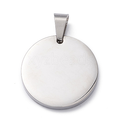 304 Stainless Steel Pendants STAS-Z027-02A-P-1