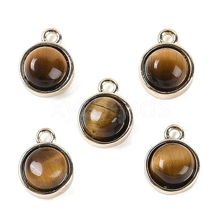 Natural Tiger Eye Pendants G-K372-03G-13-1