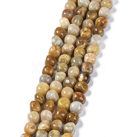 Natural Fossil Coral Beads Strands G-C038-02T-1