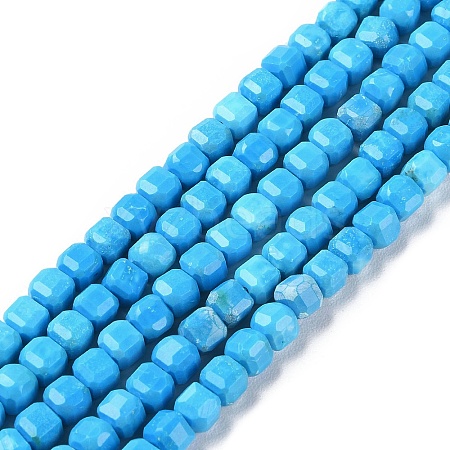 Natural Howlite Beads Strands G-G001-A01-01-1