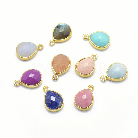 Natural Gemstone Charms G-I196-08G-1