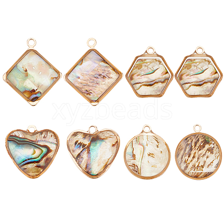 BENECREAT 8Pcs 4 Styles Natural Paua Shell Pendants SHEL-BC0001-022-1