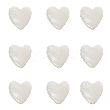 Natural Trochid Shell/Trochus Shell Beads SHEL-CJ0001-21-1