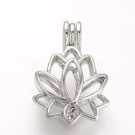 Alloy Diffuser Locket Pendants PALLOY-S062-40P-1