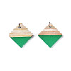 Opaque Resin & Wood Stud Earrings EJEW-N017-005A-B02-4