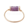 Column Natural Amethyst & Red Jasper & Green Aventurine & Tiger Eye & Lepidolite/Purple Mica  Finger Rings RJEW-JR00781-5