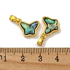 Rack Plating Brass Pave Natural Paua Shell Butterfly Charms KK-U025-01G-02-3