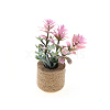 Plastic Potted Plant Mini Model PW-WGD7CCF-02-1