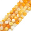 Natural Golden Yellow Shell Beads Strands SSHEL-G024-01B-1