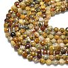 Natural Crazy Agate Beads Strands G-K389-B71-01-3