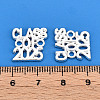 Alloy Class of 2025 Connector Charms PALLOY-T090-37S-3