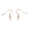 Iron Earring Hooks LS-X-IFIN-EC135-RG-2