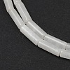 Natural Quartz Crystal Beads Strands G-G202-B04-01-4