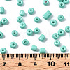 6/0 Glass Seed Beads SEED-S058-A-F439-4