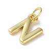 Rack Plating Brass Charms KK-P245-06G-N-2