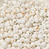 Baking Paint Glass Seed Beads SEED-F006-01A-15-3