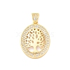 Brass Micro Pave Cubic Zirconia Pendants KK-D325-59G-01-1